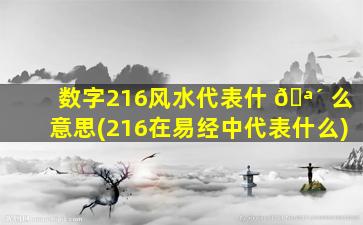 数字216风水代表什 🪴 么意思(216在易经中代表什么)